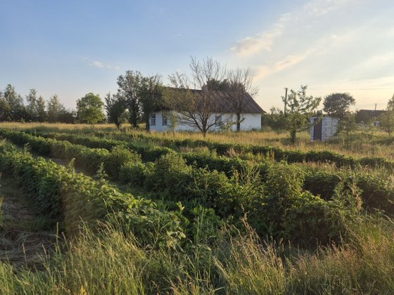 Продам будинок в с. ХРЯСЬК Вараш