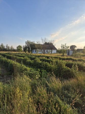 Продам будинок в с. ХРЯСЬК - фото 1
