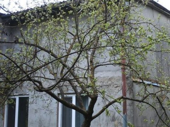 Є Будинок з великою земельною ділянкою 24 сотки Большая Емельяна