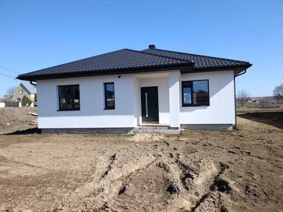 Продаж американки поряд з містом Великий Житин