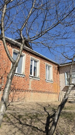Продам будинок ! НОВА ВОДОЛАГА - фото 1