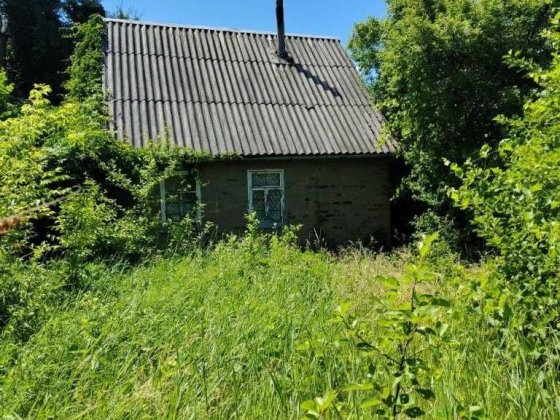 Продається дача садове товариство  Лідне Покотилівка
