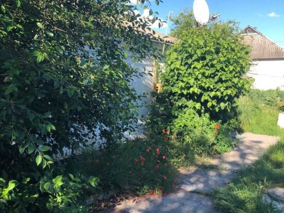Половина будинку в центрі міста Звенигородка