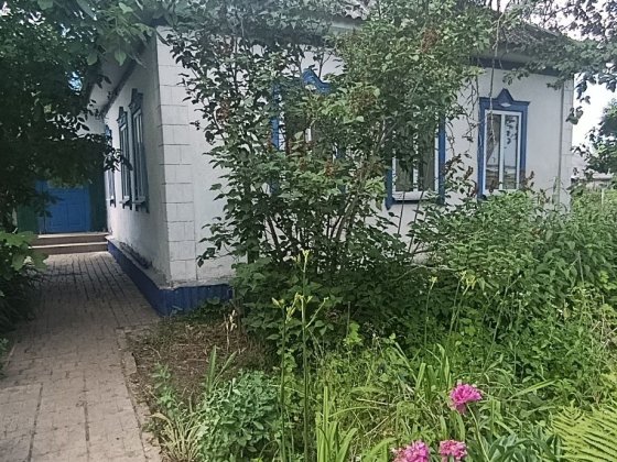 Продам будинок (Левоневського) Новгород-Северский