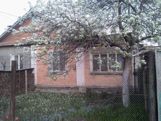 Продам будинок в Старий Білоус, вул. Ягідна Старий Білоус