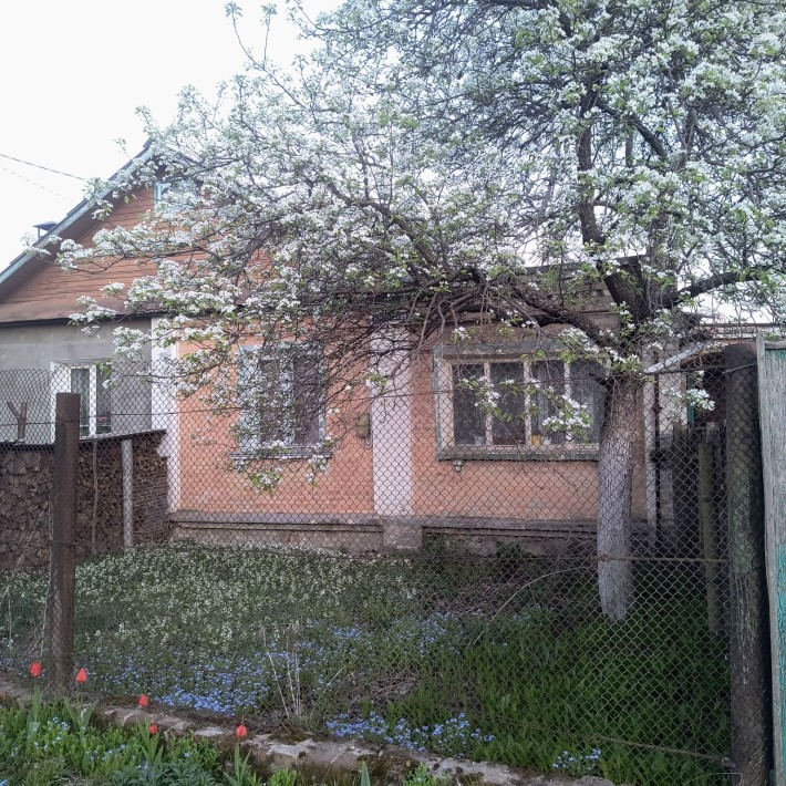 Продам будинок в Старий Білоус, вул. Ягідна - фото 1
