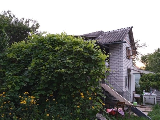 Продається дача Жавінка р.Десна пляж рибалка 5хв.Власник.Приватизована. Жавинка