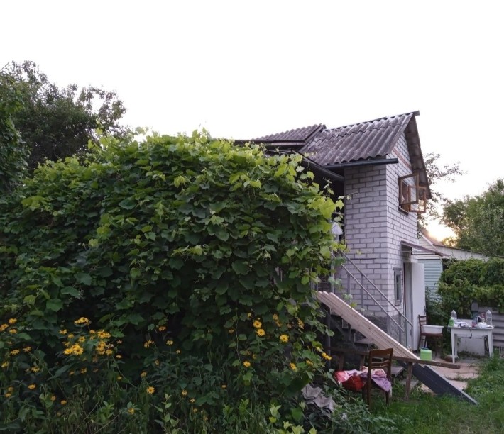 Продається дача Жавінка р.Десна пляж рибалка 5хв.Власник.Приватизована. - фото 1