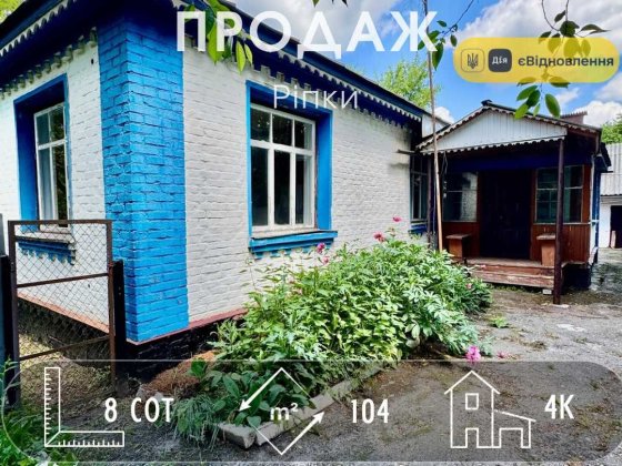 Гарний будинок для великої родини, смт Ріпки A11 Ріпки