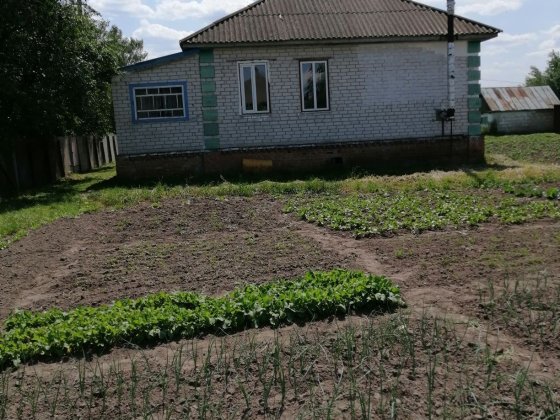 Продам дом смт Куликівка Куликовка
