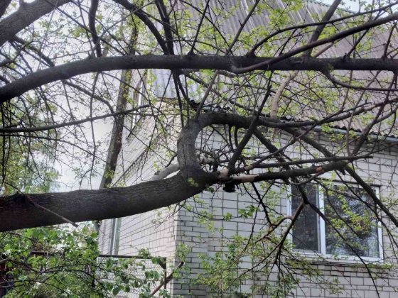 Продам будинок у селі Мирне,Бориспільського району Бориспіль