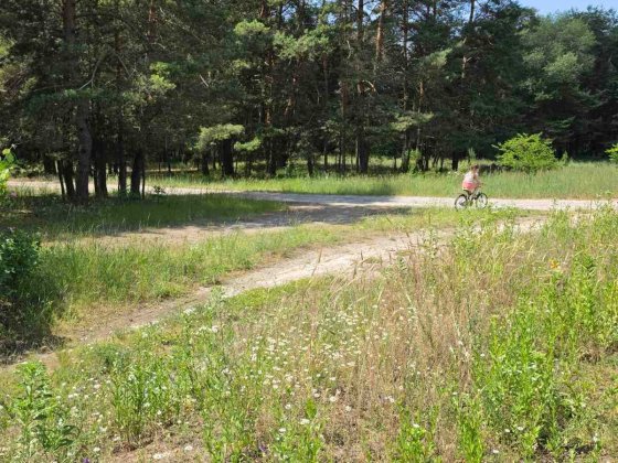Продаж дачі кооператив Фіалка, Кривуші Кременчуг