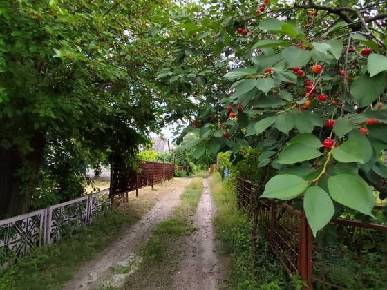 Продаж дачі в кооп *ЛИМАН* Самусіївка Кременчуг