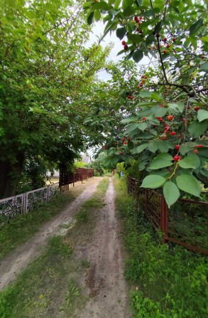 Продаж дачі в кооп *ЛИМАН* Самусіївка - фото 1