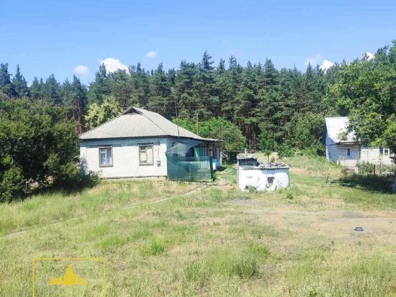 Продаж будинку 62 м² на 20 сотках з виходом у ліс. Мала Кохнівка Кременчук