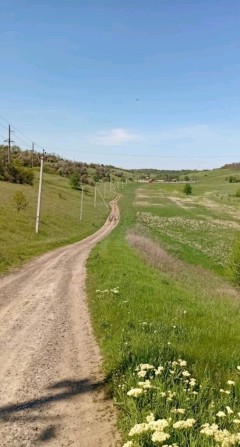 ПРОДАМ садибу для веденя господарства та проживання - фото 1