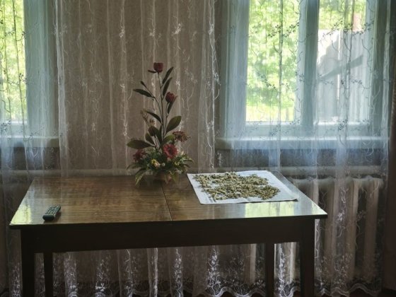 Продаж будинку. В передмісті. Сумы