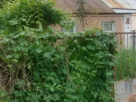 Продаж частини будинку з окремим двором