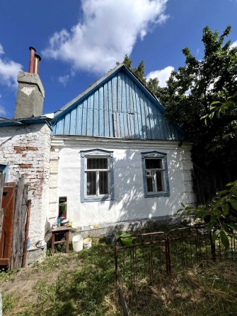 Будинок в смт.Низи - фото 1