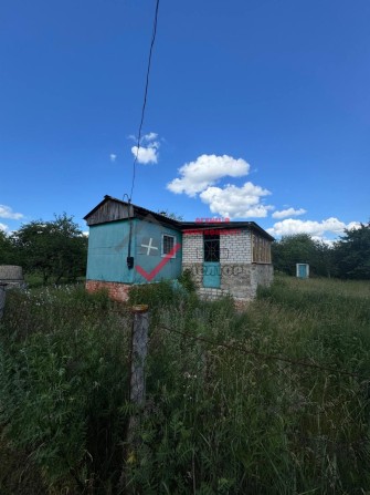 Продаж дачного будинку біля річки у Патлаївці – вигідна пропозиція! - фото 1
