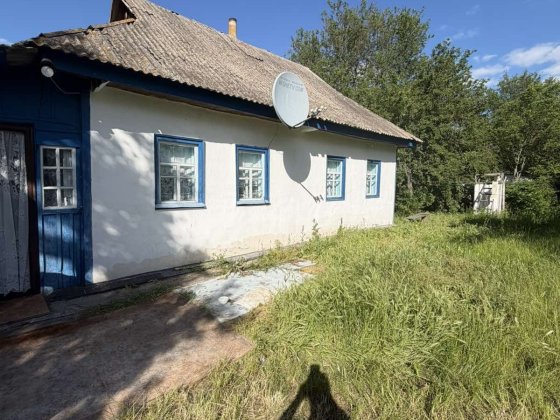 Будинок в селі Боровиця Черкаси