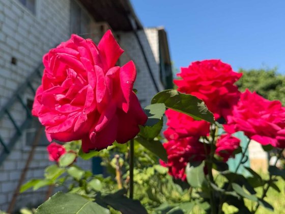 Продаж 1/2 будинку в м. Черкаси з власною ділянкою та гаражем р-н Шкільна Черкаси