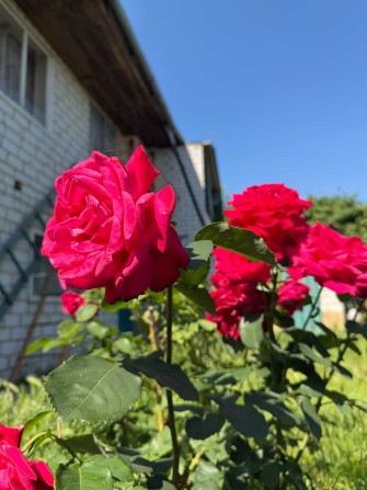Продаж 1/2 будинку в м. Черкаси з власною ділянкою та гаражем р-н Шкільна - фото 1