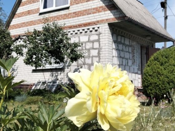 Продаж дачі СТ Ветеран Кільцева Чернігів