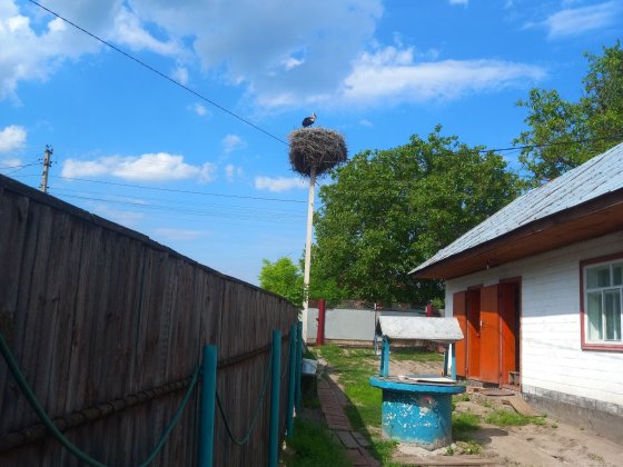 Будинок в Білозір'ї Черкаси