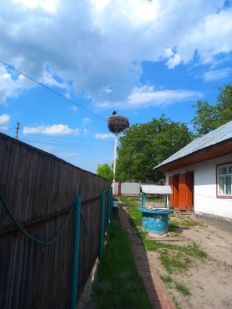 Будинок в Білозір'ї - фото 1