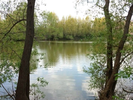 Будинок 67 м² під ремонт на березі ставка, с. Вінниця