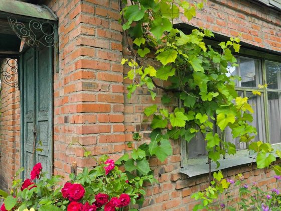 Продам дача Масив Садовий Барське шосе 9052 Винница