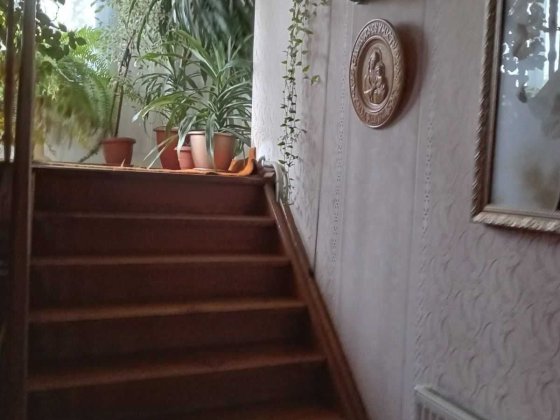 Візьму на квартиру двох хлопців Дрогобыч