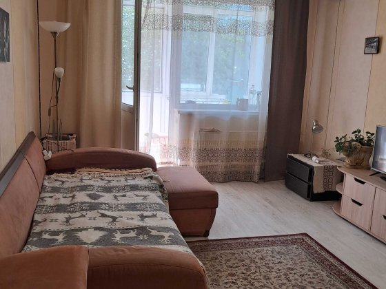 Аренда, шукаю жінку для спільного проживання з властницей и котом у велику 1однокімнатну квартиру Вишневое