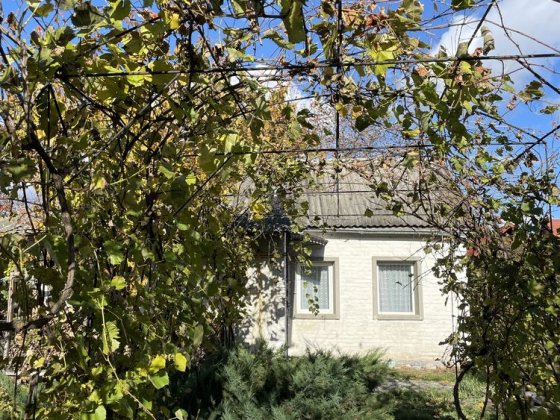 Здам будинок в старій Боярці, можно з собакою. Боярка