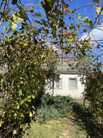 Здам будинок в старій Боярці, можно з собакою. - фото 1