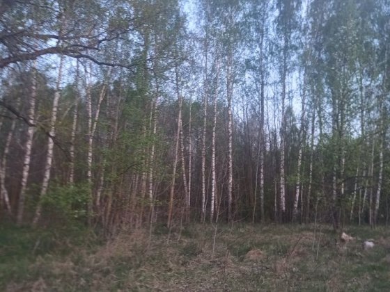 Будиночок в тихому затишному місці Ніжин