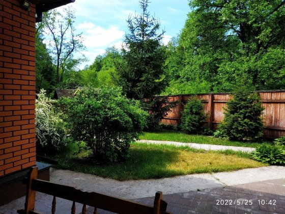 Оренда будинку в лісі