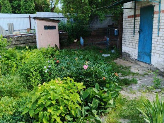 Здам домік,літню кухню.бригаді.На 1-6 чол. Старі Петрівці
