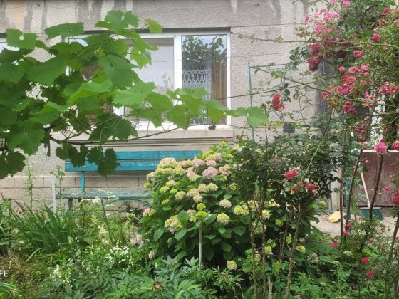 Здається в оренду будинок неподалік площі Корятовича з садом Ужгород