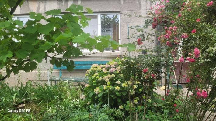 Здається в оренду будинок неподалік площі Корятовича з садом - фото 1