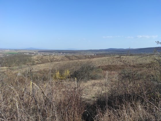 Земельна ділянка для індивідуального садівництва
