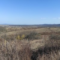 Земельна ділянка для індивідуального садівництва Берегово