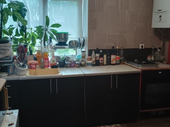 Здається 2-х кімнатна квартира без комісії ріелтора. Хмельницький