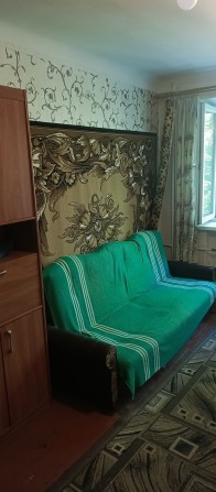 Малосімейка в центрі - фото 1