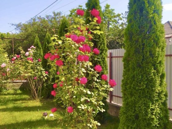 Продам приватну садибу біля термальних басейнів