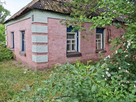 Продам будинок з земельною ділянкою по вул. Скічка (14 район) Александрия