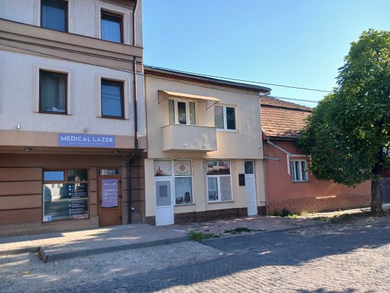 Будинок під БІЗНЕС чи житло в центрі Берегова, 1,2 км від термалів Берегово