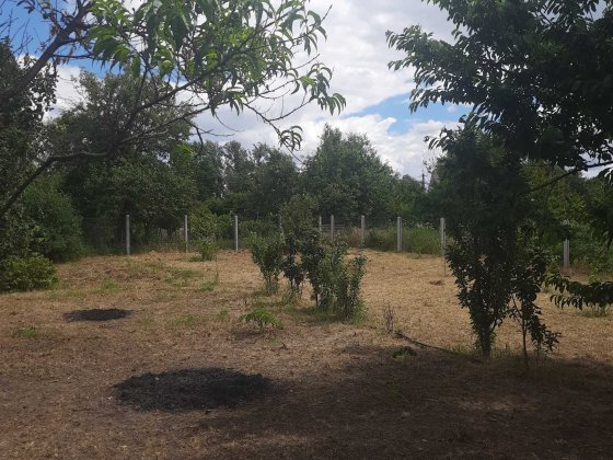 Продам приватизовану дачу Александрия