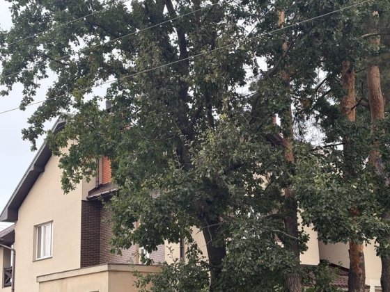 Продаж Таунхаусів під Києвом !єОселя , держпрограми Васильків